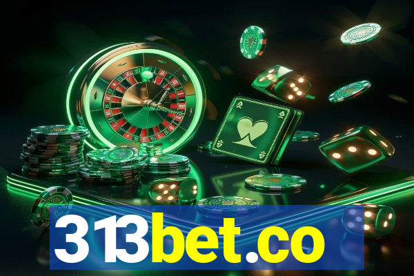 313bet.co