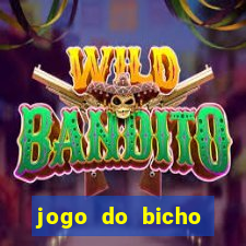 jogo do bicho banca ouro verde