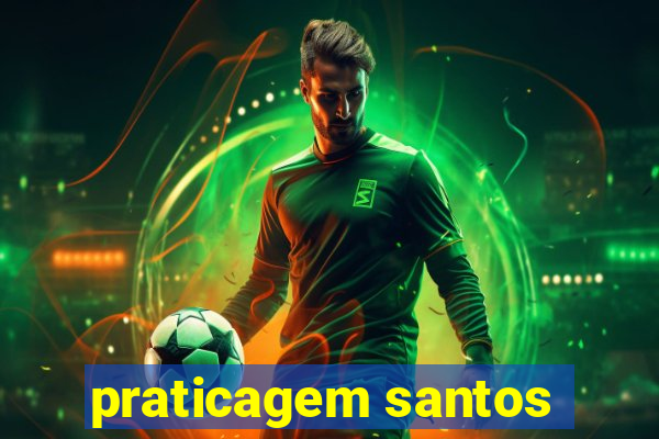 praticagem santos