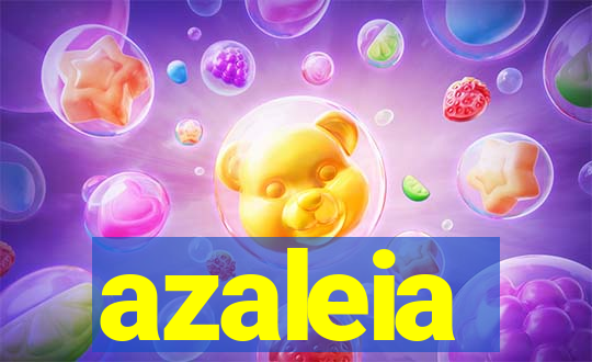 azaleia-br.com