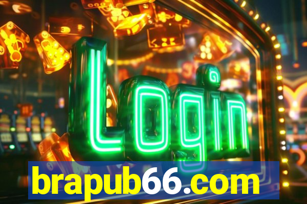 brapub66.com