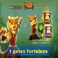 t gatas fortaleza