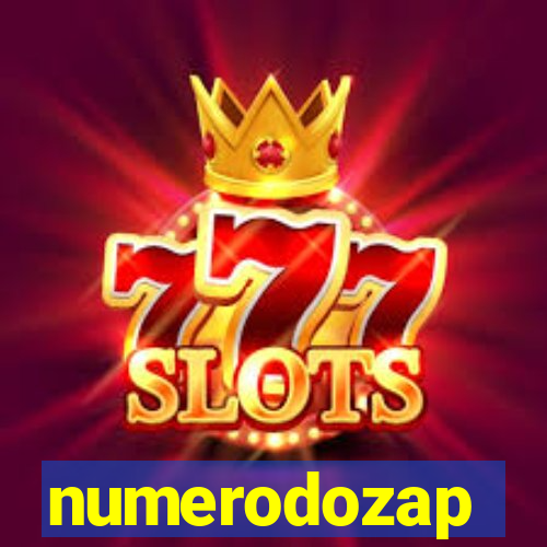 numerodozap